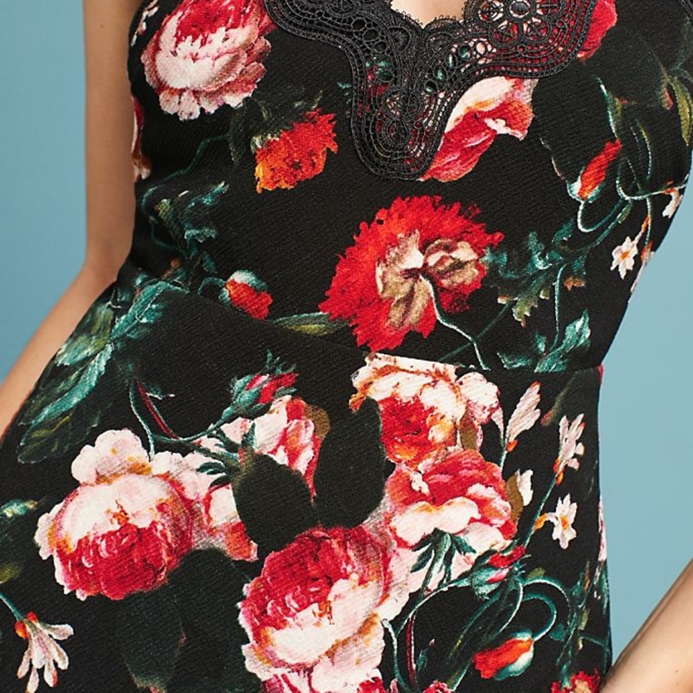 Foxiedox Anthropologie Floral Dress NWT! - Picture 3 of 9